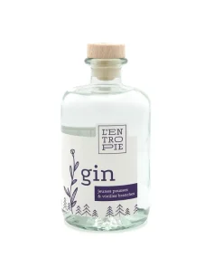 Gin Jeunes pousses et vieilles branches Distillerie L’Entropie