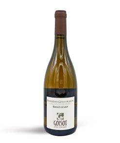 Alternative view of GOISOT, Gueules de loup 2022