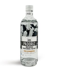 Alternative view of BOWS, Padoriz