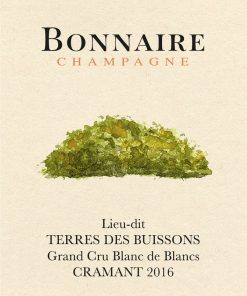 Alternative view of &lsquo;LES TERRES DES BUISSONS&rsquo; 2016 Grand Cru Blanc de Blancs