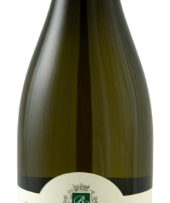 Alternative view of ALIGOTE VIEILLES VIGNES