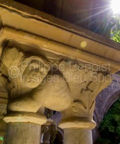 Abbaye de Fontfroide – AUDE