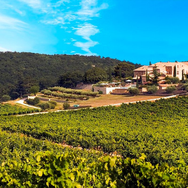 Chêne Bleu – Viognier – 2023 – Image 4