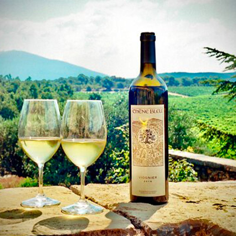 Chêne Bleu – Viognier – 2023 – Image 3