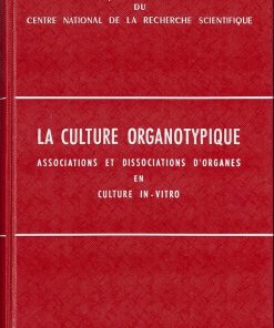 Alternative view of Culture organotypique