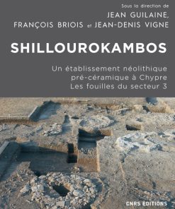 Alternative view of Shillourokambos