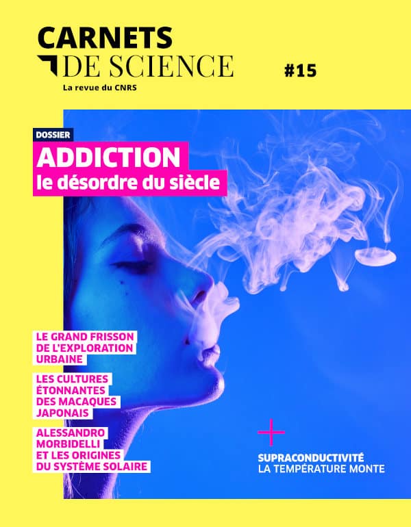 Carnets de science #15 – Image 2